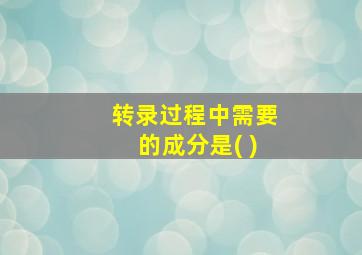 转录过程中需要的成分是( )